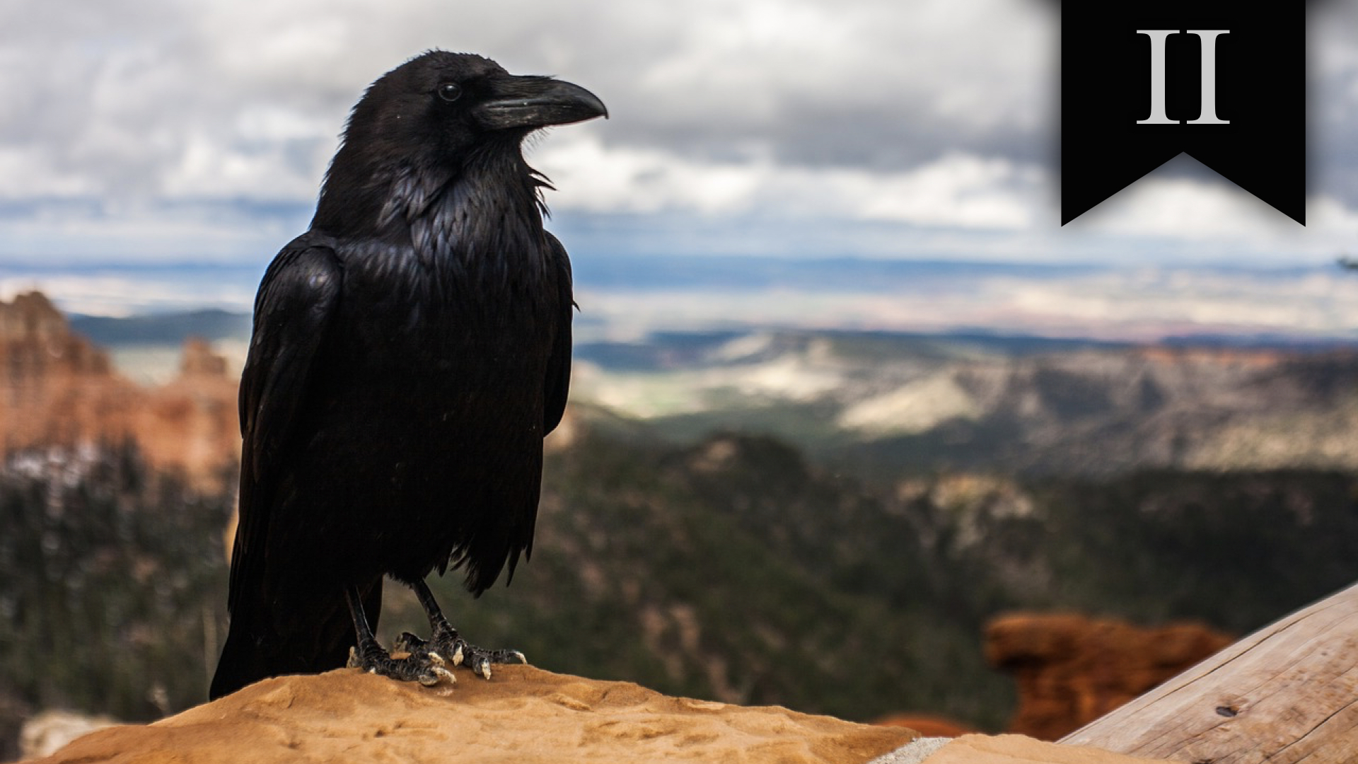 Advice from Odin, II: New Year